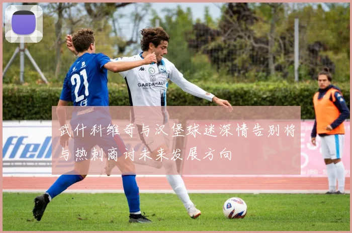 武什科维奇与汉堡球迷深情告别将与热刺商讨未来发展方向